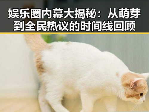 娱乐圈内幕大揭秘：从萌芽到全民热议的时间线回顾